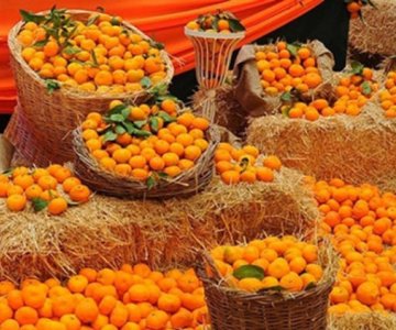 SEFERİHİSAR MANDALİNA FESTİVALİ  TURU    28 -30 KASIM 2025                                     