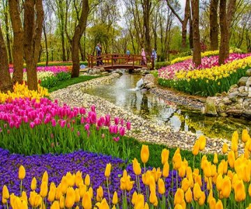 İSTANBUL LALE FESTİVALİ TURU 12/18.04.2026